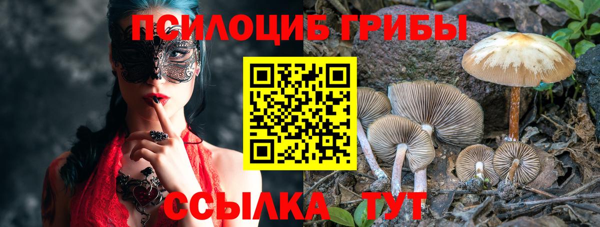 Галлюциногенные грибы мухоморы Тольятти