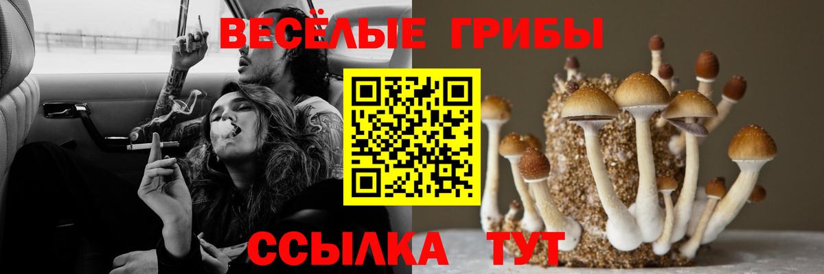 Галлюциногенные грибы мухоморы  купить   Тольятти  Вход с VPN 